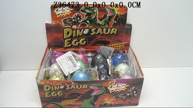 ��������12ֻװ��