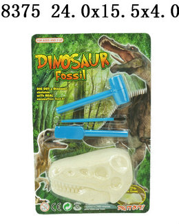 Dinosaur fossil

